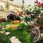 Hotel Shoestring Stone House