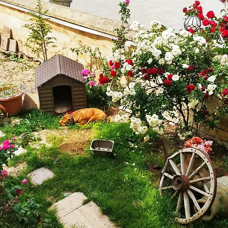 Hotel Shoestring Stone House