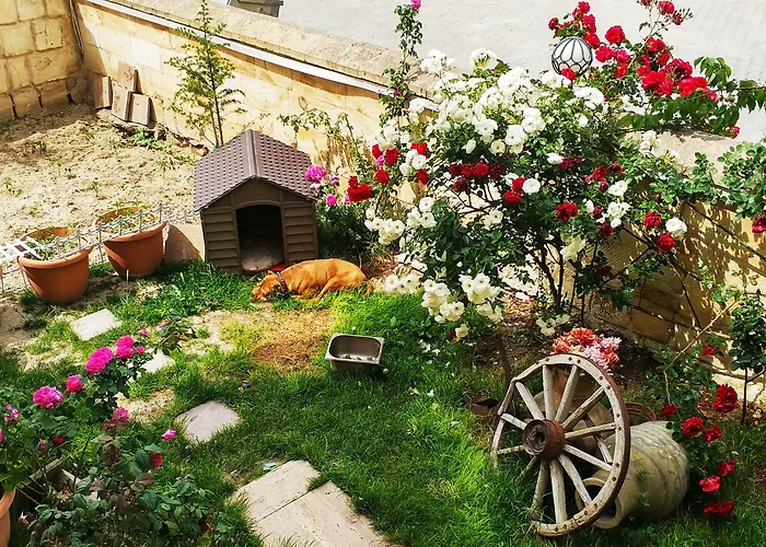 Hotel Shoestring Stone House